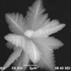 Illustration for article titled How These Microscopic Diamonds Are Going to Shape the Future